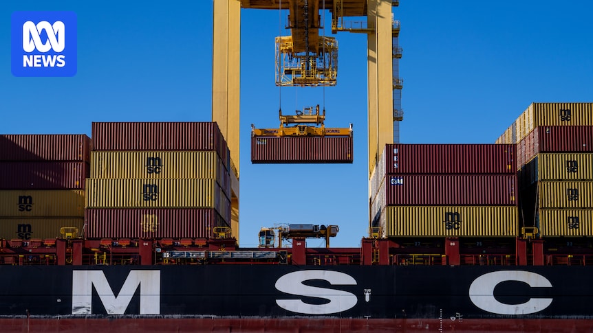 IMF says global and Australian economy showing resilience against tariffs