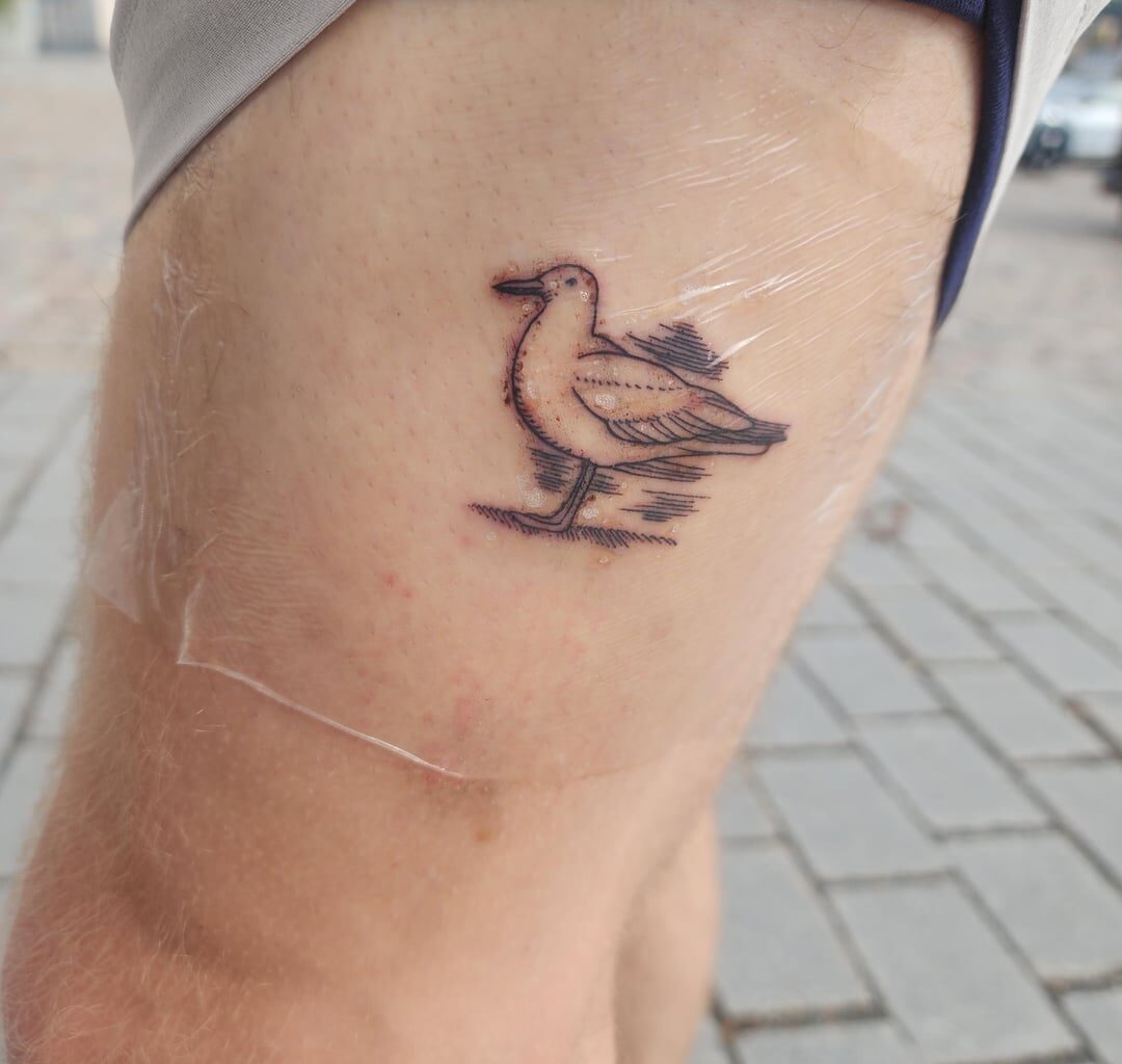 Visited Lofoten, commemorated it with tattoos of a sheep and a seagull