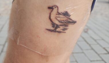 Visited Lofoten, commemorated it with tattoos of a sheep and a seagull