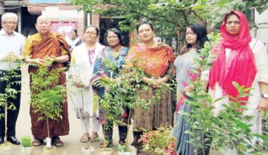 New Age | BAGHC observes environment day