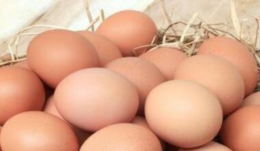 Iceland scrapping cage-free egg commitment