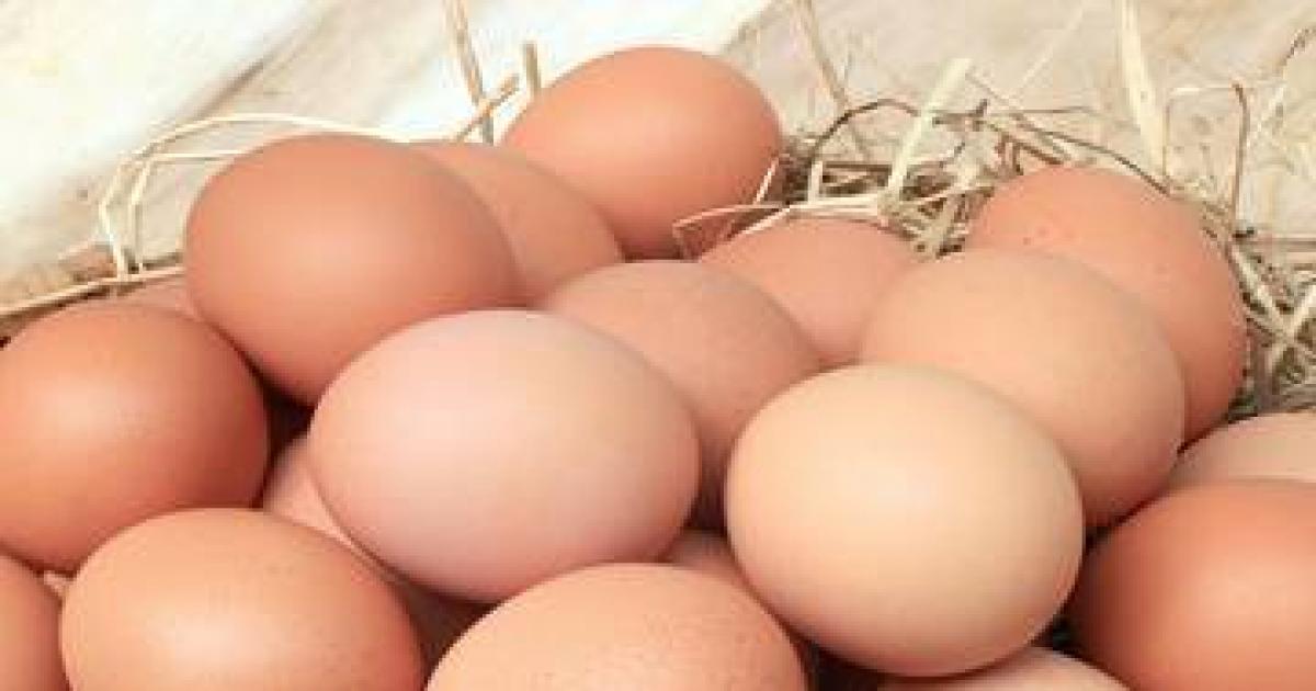 Iceland scrapping cage-free egg commitment