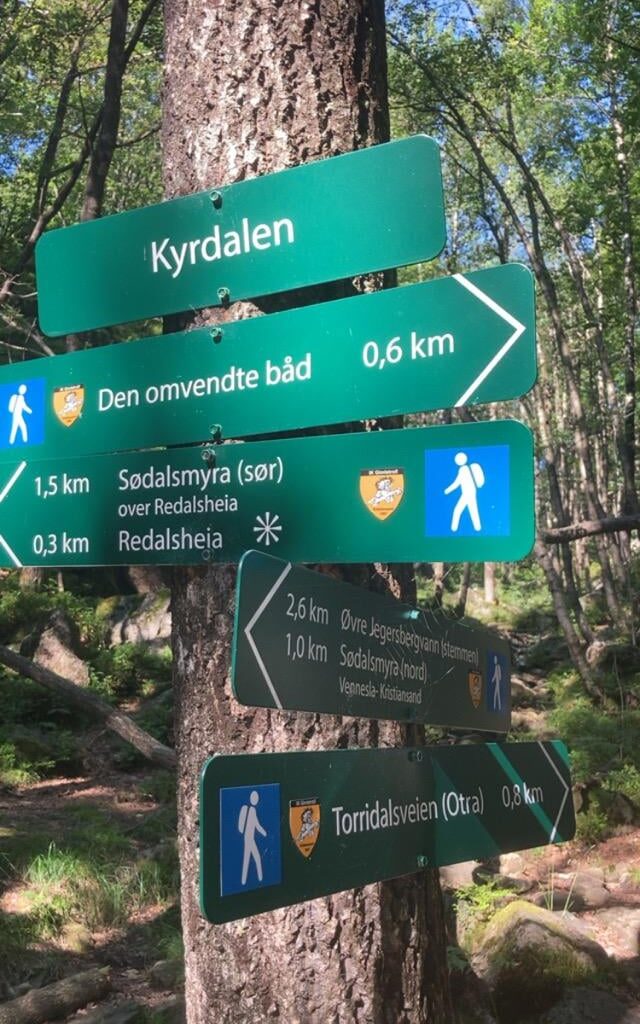 Den omvendte båt - idag den 25. juli 2025