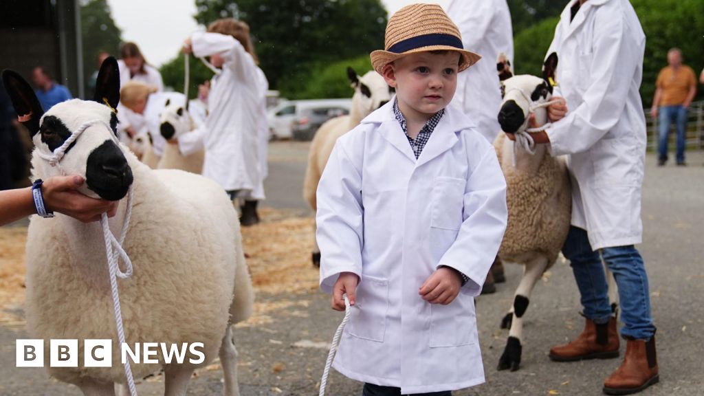M&S backs farmers over UK Labour ministers in inheritance tax row
