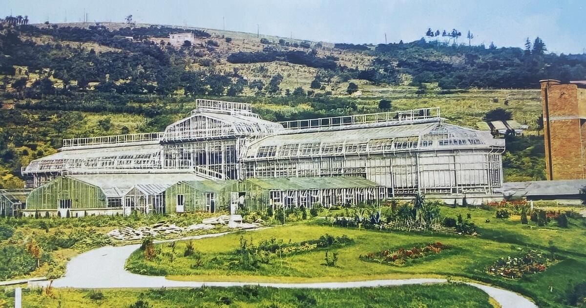 Built beneath a graveyard, guarded by a tower: The story of Slovakia’s largest botanical garden