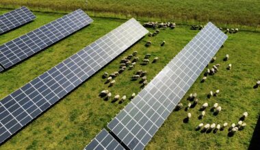 While others pull out, one energy firm is betting big on Slovakia’s sun