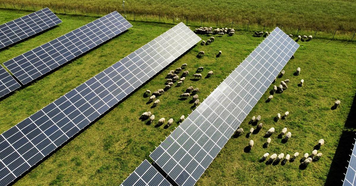 While others pull out, one energy firm is betting big on Slovakia’s sun