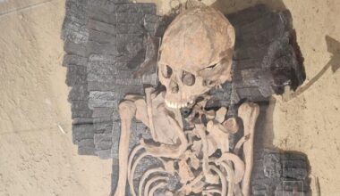 Grave found during motorway construction stuns Slovakia and beyond