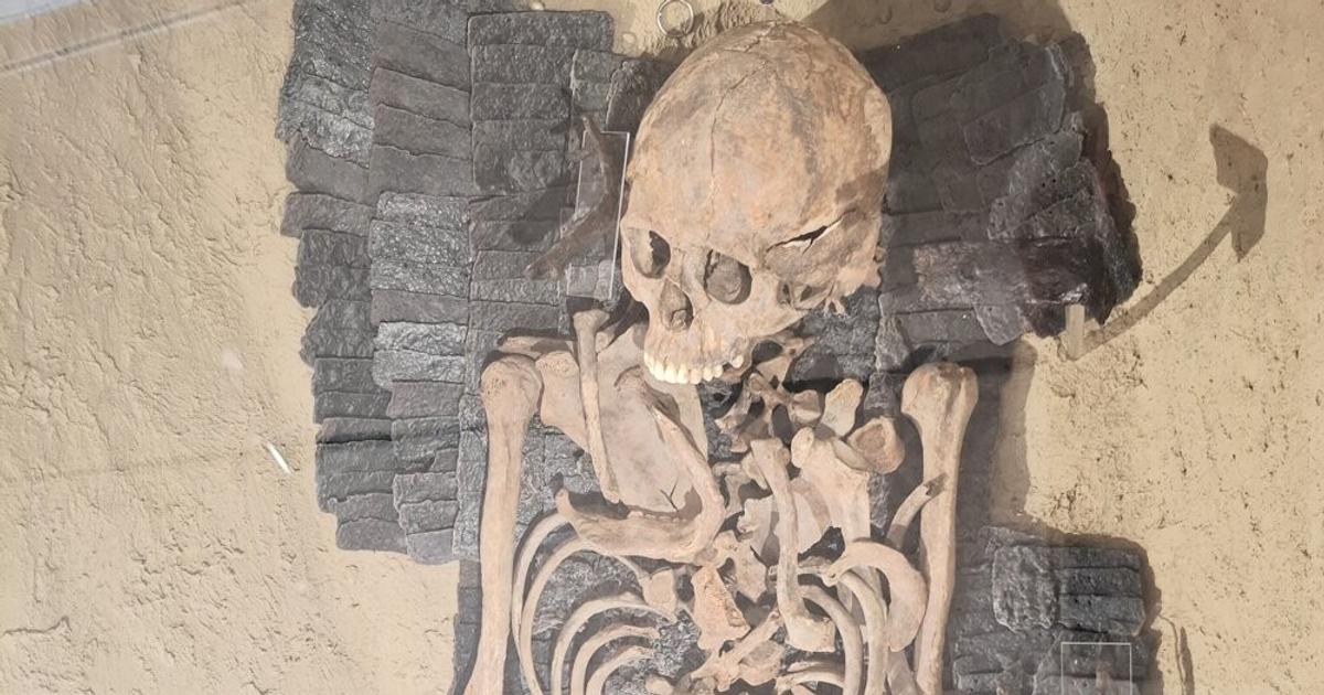 Grave found during motorway construction stuns Slovakia and beyond