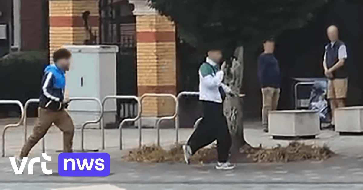 4 gewonden bij steekpartij in Lommel, 9 personen opgepakt | VRT NWS: nieuws