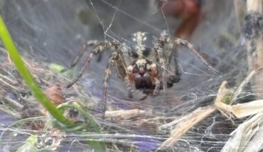 Kleinen Kumpel getroffen
