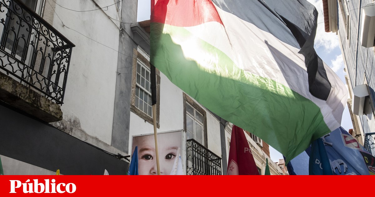 “Insuficiente” e “tardia”: posição de Portugal sobre Palestina não convence esquerda | Direitos humanos