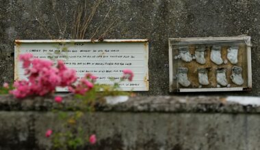 Excavation of child mass grave at church-run home begins in Ireland | Child Rights News