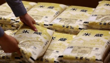 Japan rice prices double, raising pressure on PM