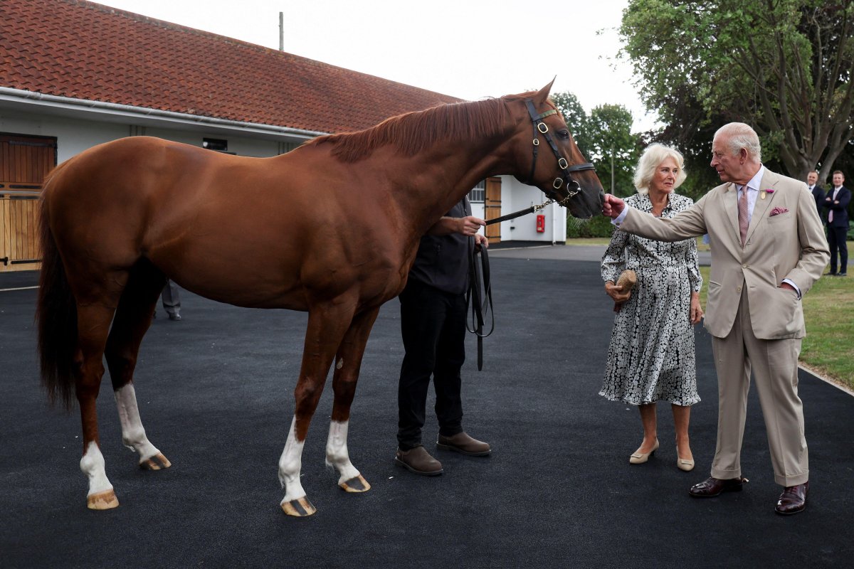King Charles III and Queen Camilla visit the National Stud in Newmarket on July 22, 2025 (Chris Radburn/PA Images/Alamy)
