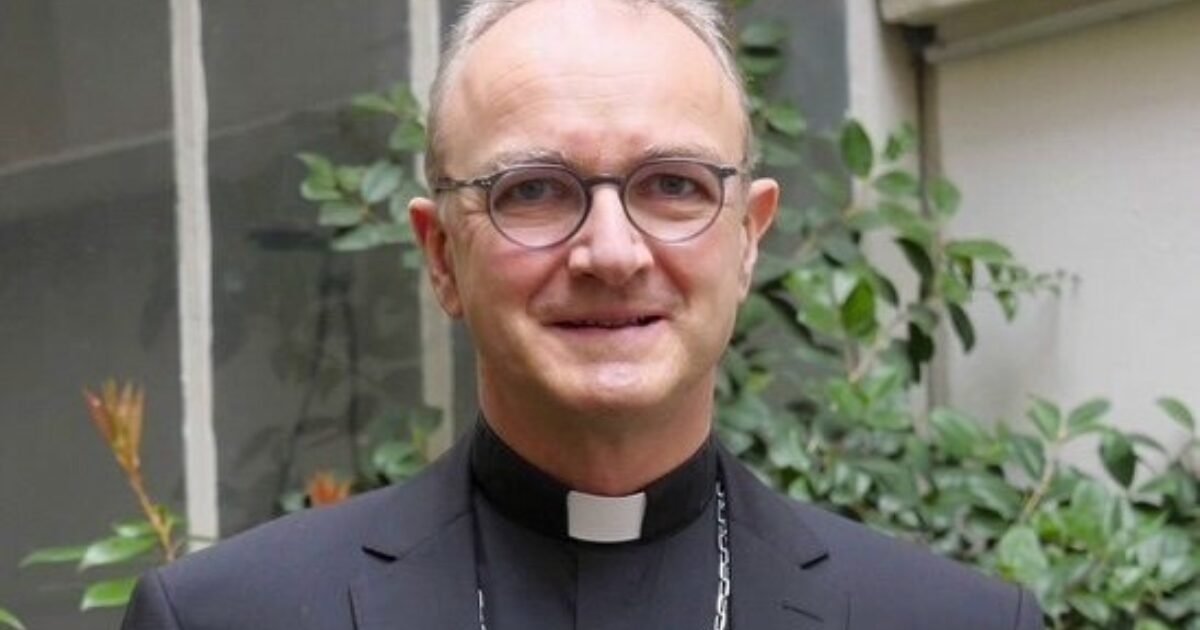 Safeguarding remains a top priority with new appointment, U.S. cardinal says- Detroit Catholic