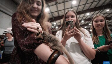 Wildlife Festival marked in Canada-Xinhua