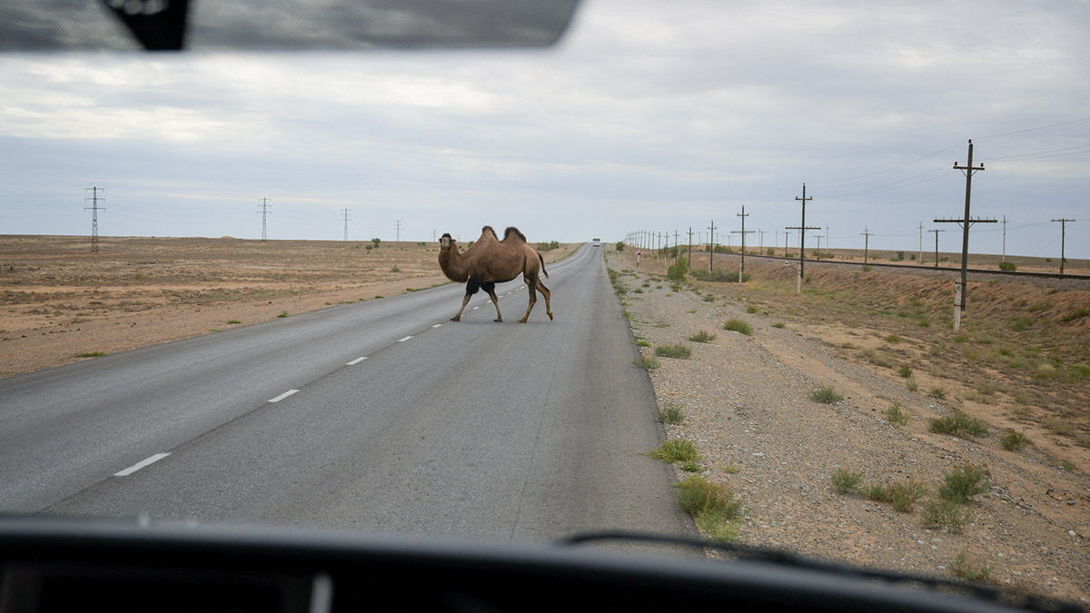 Por las estepas del cosmódromo pude ver camellos en libertad y plataformas de despegue fuera de servicio con sus instalaciones anexas abandonadas. Muchas de ellas han sido desmontadas o rehabilitadas - PHOTO/NASA-Bill Ingalls