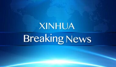 Israeli, Syrian leaders agree to ceasefire: U.S. ambassador to Türkiye-Xinhua