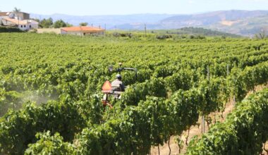 Portugal's Douro Valley winemakers struggle amid U.S. tariffs, export uncertainty-Xinhua