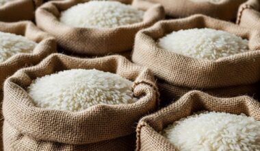 Korea donates Sh2.3b rice to support refugees in Kenya