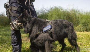 Na javni prireditvi na Tolminskem posredovali policisti Enote vodnikov službenih psov