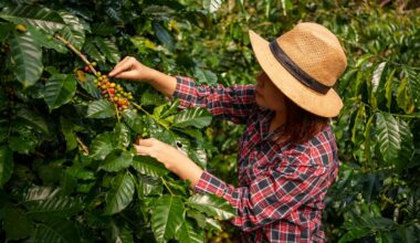 Coffee prices are soaring. Tariffs could drive them even higher.