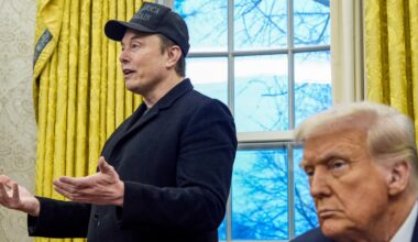 Elon Musk's half-baked new political party