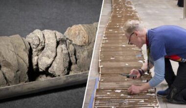Denver museum unearths rare dinosaur fossil under its parking lot – NBC New York