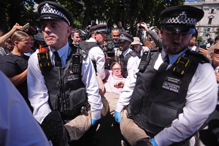 Britain Protest