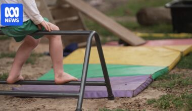 Child sex offender pleads guilty to gardening at childcare centre where his wife worked
