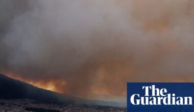 Countries must protect human right to a stable climate, court rules | Environment