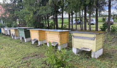 Beekeepers in Estonia report poor honey harvest due to rainy summer | News