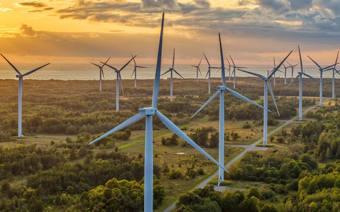 Estonia's new renewables reverse auction seen as unattractive | News