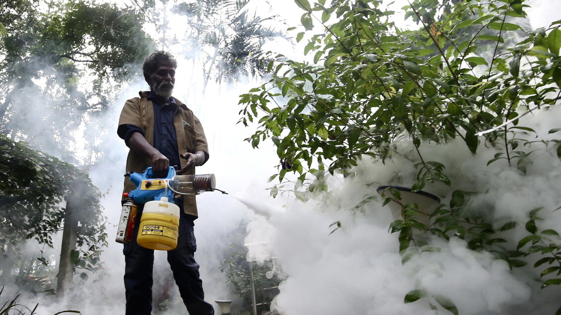 In Italia 89 casi di West Nile, in sette giorni sono più che raddoppiati - Sanità