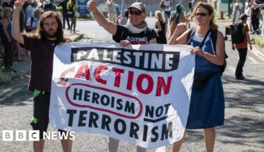 Palestine Action can challenge UK ban, court rules