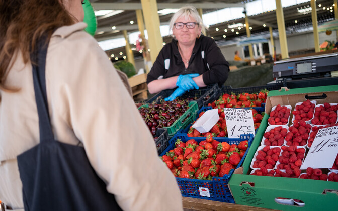 Estonian strawberries ripened later this year due to cold and rainy summer | News