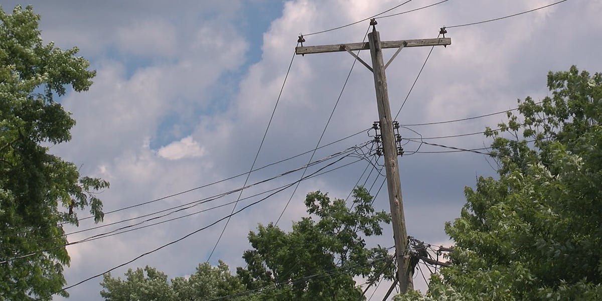 Barberton councilman asking First Energy to pay $100 per ratepayer following numerous power outages