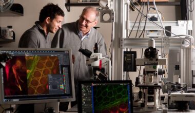 A researcher with hearing loss got a grant to study restoring hearing. The Trump administration canceled it because of DEI