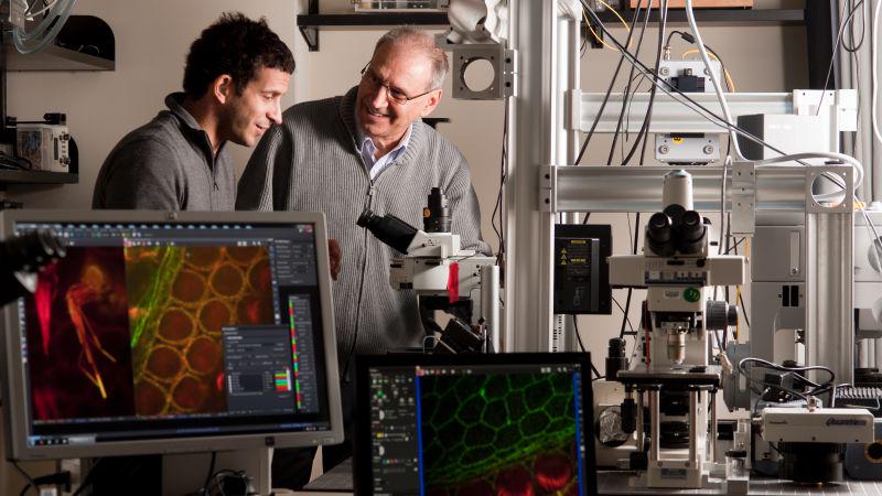 A researcher with hearing loss got a grant to study restoring hearing. The Trump administration canceled it because of DEI