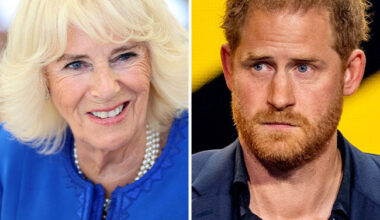Royal Fans Call Queen Camilla A 'Legend' After Its Revealed That She Turned Prince Harry's Room Into A Closet: 'Good For Her'
