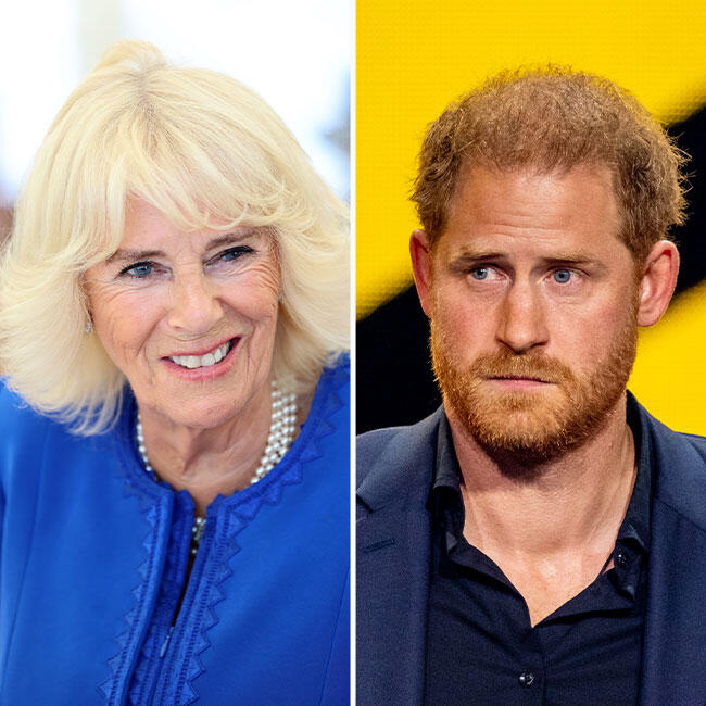 Royal Fans Call Queen Camilla A 'Legend' After Its Revealed That She Turned Prince Harry's Room Into A Closet: 'Good For Her'