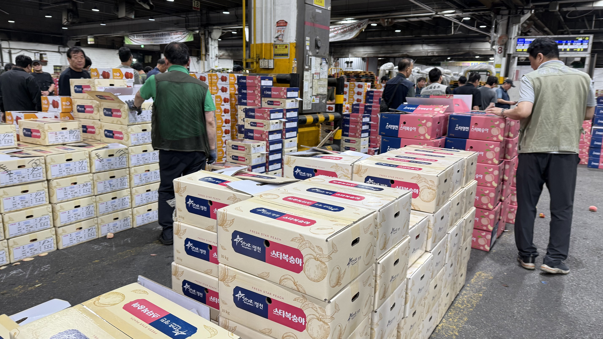 Buyers browse crates of different peaches up for auction at Garak Market in southern Seoul. [WOO JI-WON]
