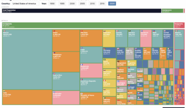 USA - Immigration per Country in 2020 [OC]