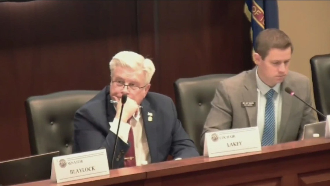 Idaho DOGE task force holds first meeting, aims to streamline state government
