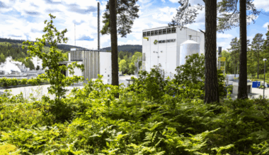 Decarbonising metal production: Replacing fossil gas with renewable biosyngas
