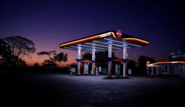 Exclusive-Indian state refiners pause Russian oil purchases, sources say