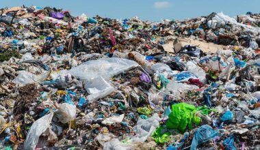 Malta risks missing 2025 recycling targets due to landfill reliance – EU