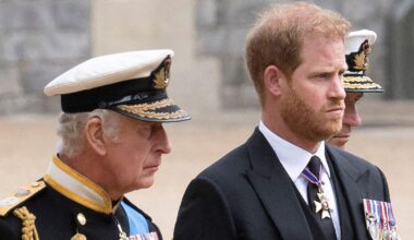 EXCLUSIVE: King Charles 'open to ending Prince Harry feud' – but on one condition