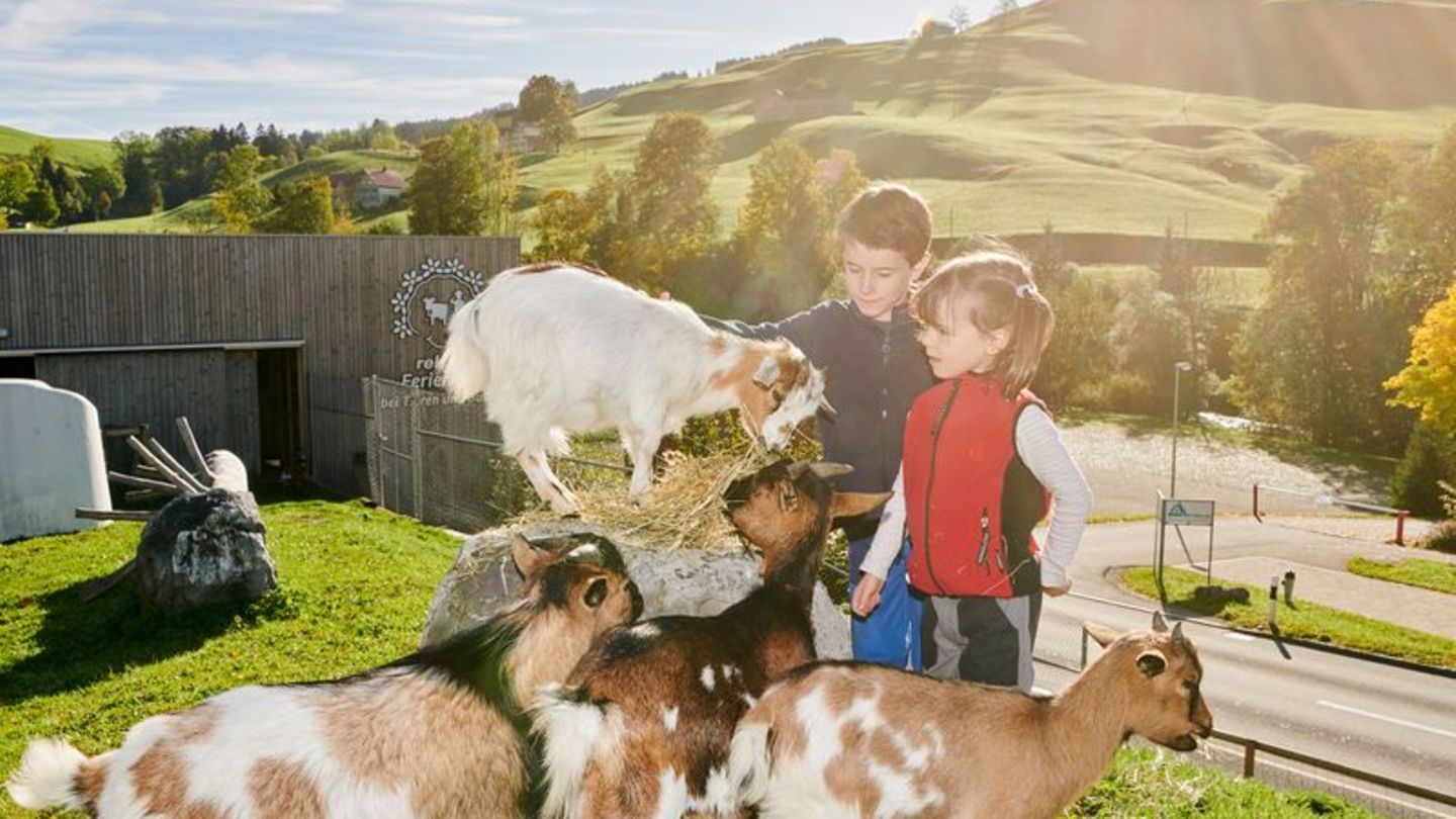 Kinder dürfen im Feriendorf auch Ziegen füttern. Foto: Andrea Campiche/Reka/dpa-tmn